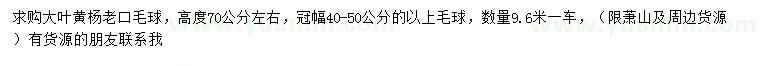 求購(gòu)高70公分左右大葉黃楊
