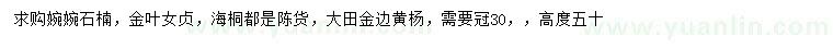 求購石楠、金葉女貞、海桐等