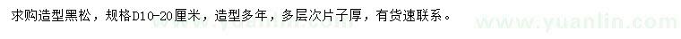 求購(gòu)地徑10-20公分造型黑松