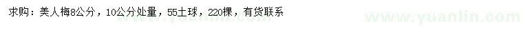 求購10公分量8公分美人梅
