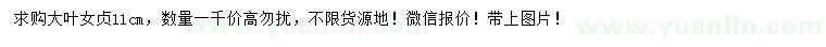 求購11公分女貞