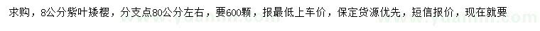求購8公分紫葉矮櫻