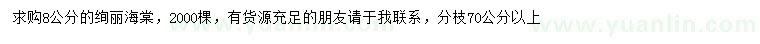 求購8公分絢麗海棠