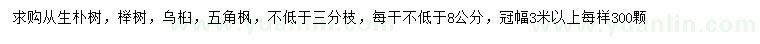 求購從生樸樹、櫸樹、烏桕等