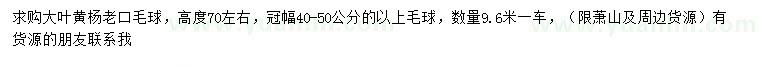 求購(gòu)高70公分大葉黃楊