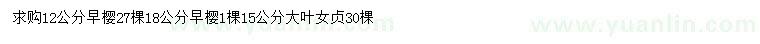 求購12、18公分早櫻、15公分大葉女貞