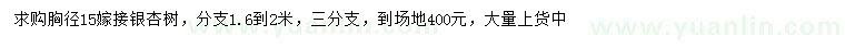 求購胸徑15公分嫁接銀杏