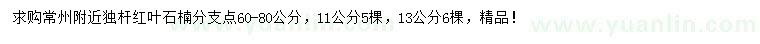 求購11、13公分獨桿紅葉石楠
