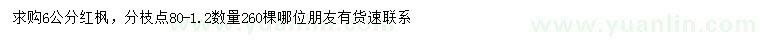 求購6公分紅楓