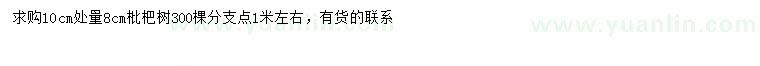 求購(gòu)10公分量8公分枇杷