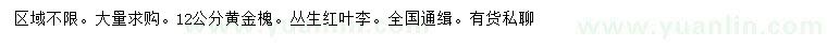 求購12公分黃金槐、叢生紅葉李