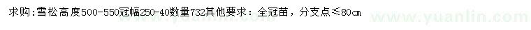 求購高500-550公分雪松		