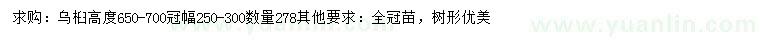 求購高650-700公分烏桕		
