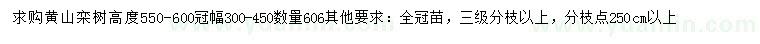 求購高550-600公分黃山欒