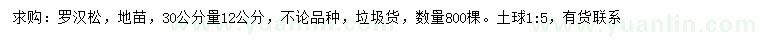 求購30公分量12公分羅漢松