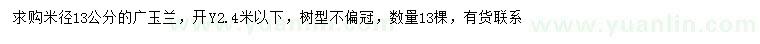 求購米徑13公分廣玉蘭