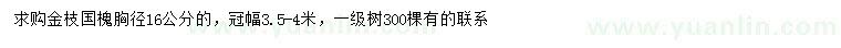 求購胸徑16公分金枝國槐