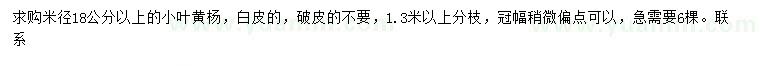 求購米徑18公分以上小葉黃楊