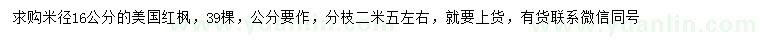 求購米徑16公分美國紅楓