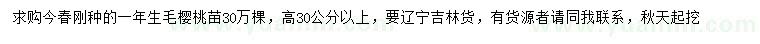 求購高30公分以上櫻桃苗