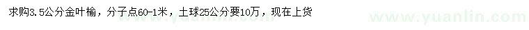 求購3.5公分金葉榆