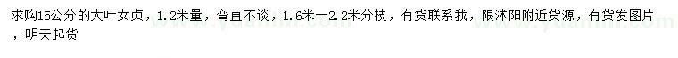 求購15公分大葉女貞