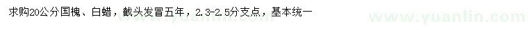 求購20公分國槐、白蠟