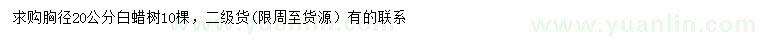 求購胸徑20公分白蠟