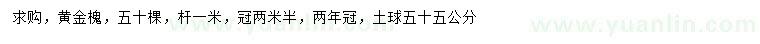 求購冠幅2.5米黃金槐