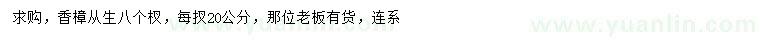 求購(gòu)叢生香樟