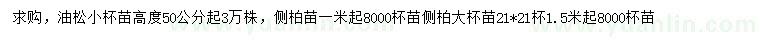 求購(gòu)高50公分起油松小苗、1、1.5米起側(cè)柏