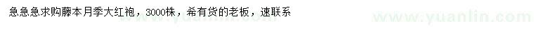 求購藤本月季、大紅袍