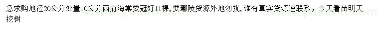 求購地徑20公分量10公分西府海棠