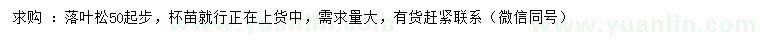 求購50公分起步落葉松