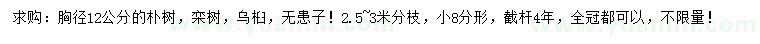 求購樸樹、欒樹、烏桕等