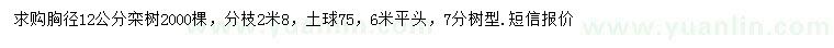 求購(gòu)胸徑12公分欒樹