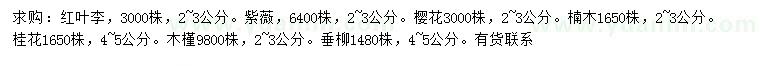 求購(gòu)紅葉李、紫薇、櫻花等