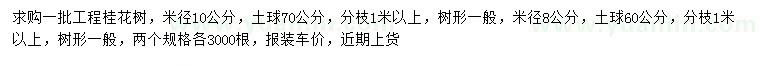 求購米徑8、10公分桂花樹