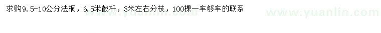 求購(gòu)9.5-10公分法桐