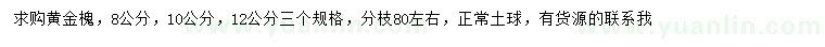 求購8、10、12公分黃金槐