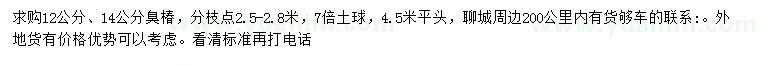 求購(gòu)12、14公分臭椿