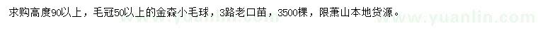 求購高90公分以上金森小毛球