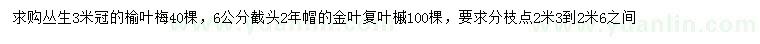 求購叢生榆葉梅、6公分金葉復(fù)葉槭