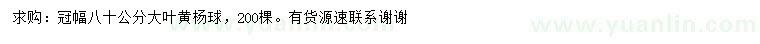 求購冠幅80公分大葉黃楊球