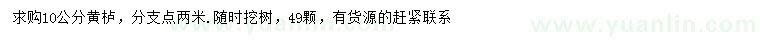 求購10公分黃櫨