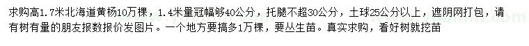 求購(gòu)高1.7米北海道黃楊