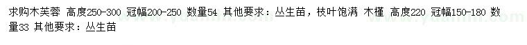 求購高250-300公分木芙蓉、高220公分木槿