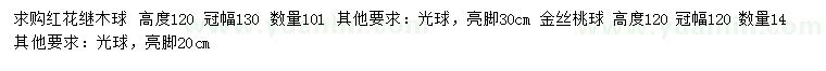 求購高120公分紅花繼木球、金絲桃球