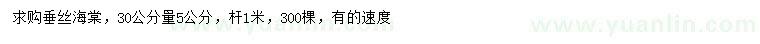 求購(gòu)30公分量5公分垂絲海棠