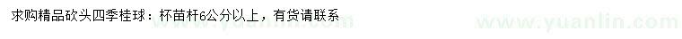 求購6公分以上精品四季桂球